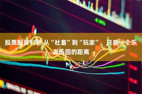 股票配资利息 从“社畜”到“玩家”,只差一个乐高乐园的距离